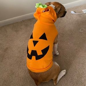 Pumpkin costume!